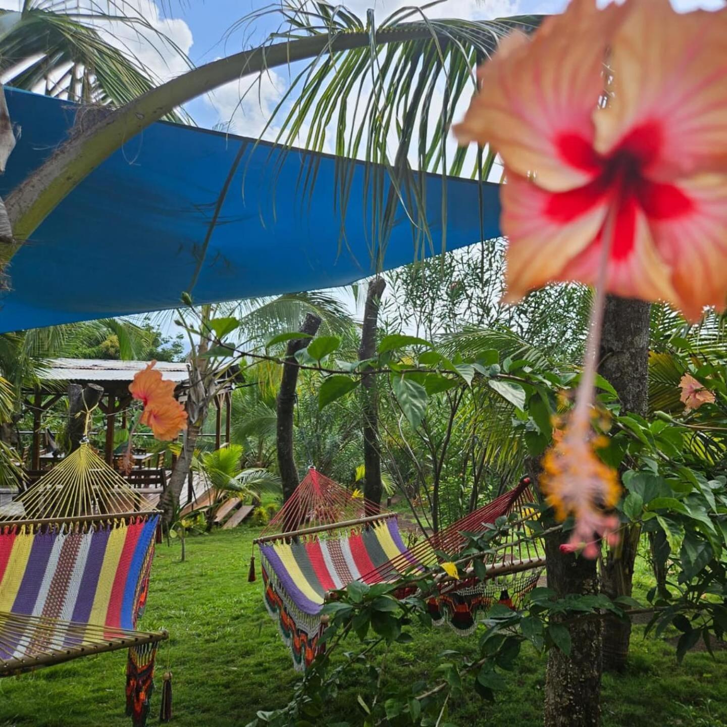 The Lighthouse Retreat, Little Corn Island, Nicaragua Little Corn Island